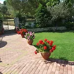 Skiathos Argento 克里奥斯