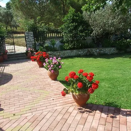 Skiathos Argento Kolios