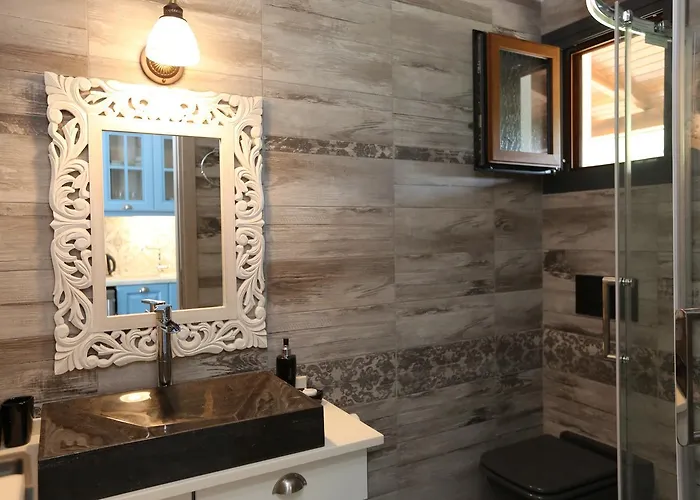 公寓式酒店 Skiathos Argento 克里奥斯