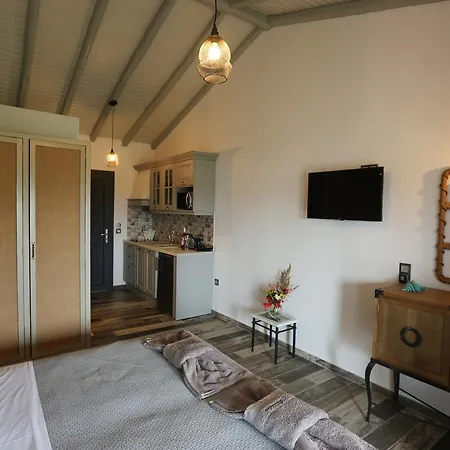 Aparthotel Skiathos Argento