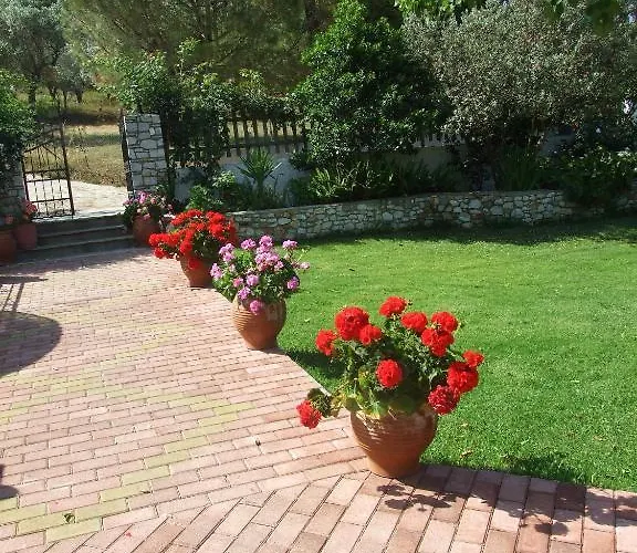 Skiathos Argento Kolios