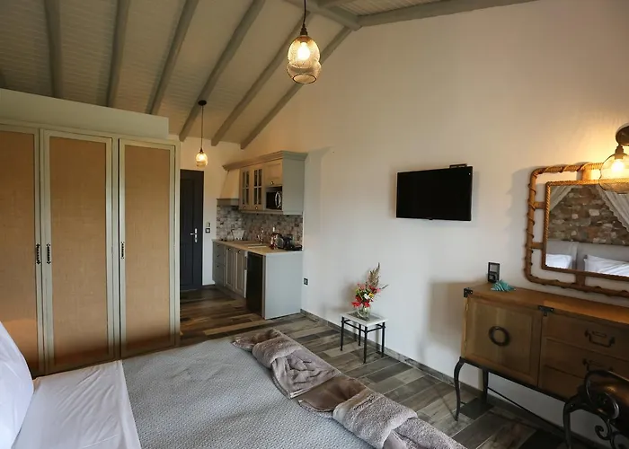 Aparthotel Skiathos Argento